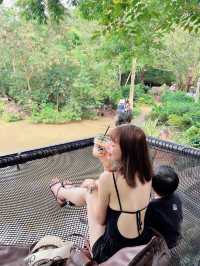 芭達雅景點 大象園  Pattaya evephant 泰國