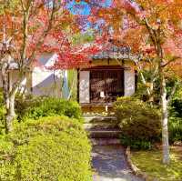 Joraku-ji: Zen Oasis Unveiled