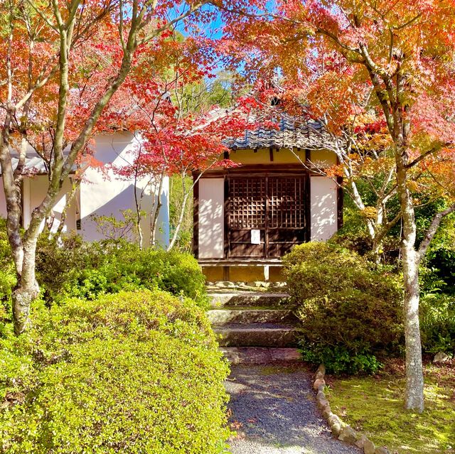 Joraku-ji: Zen Oasis Unveiled