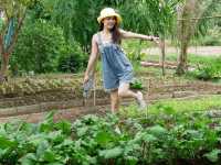  ไร่เกษมสุข🌱เกษตรอินทรีย์กุยบุรี 🥬🍅🌽