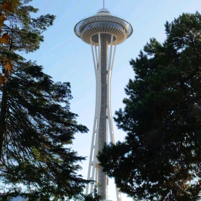 Seattle: Where the Sky Meets the Sea