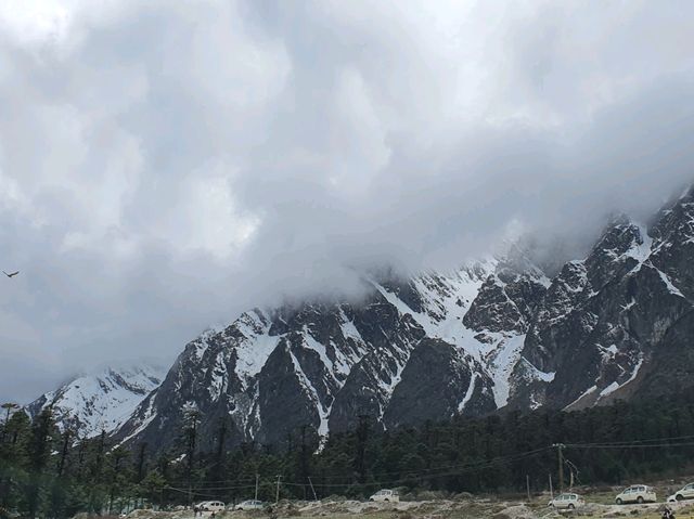 Zero Point & Yumthang Valley