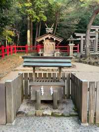 【奈良県/檜原神社】2023年行ってよかった！奈良県の神社④