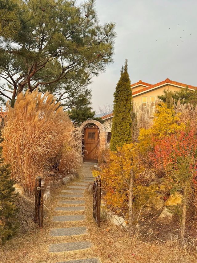 더욱 더 예뻐진 겨울 론다애뜰