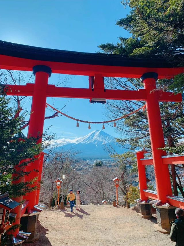 【新倉富士浅間神社】富士山が見える絶景神社で初詣☺️🗻⛩【山梨】