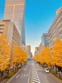 Tokyo autumn is so beautiful 🍁🍁🍁 🇯🇵