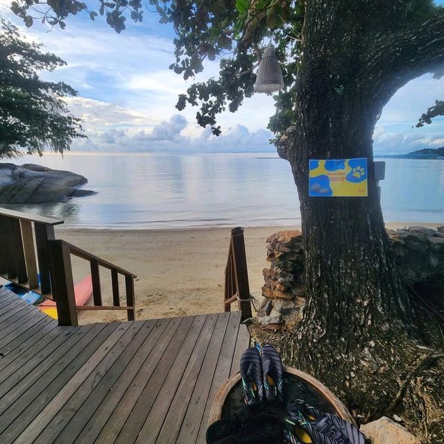 Rocky's Boutique Resort 