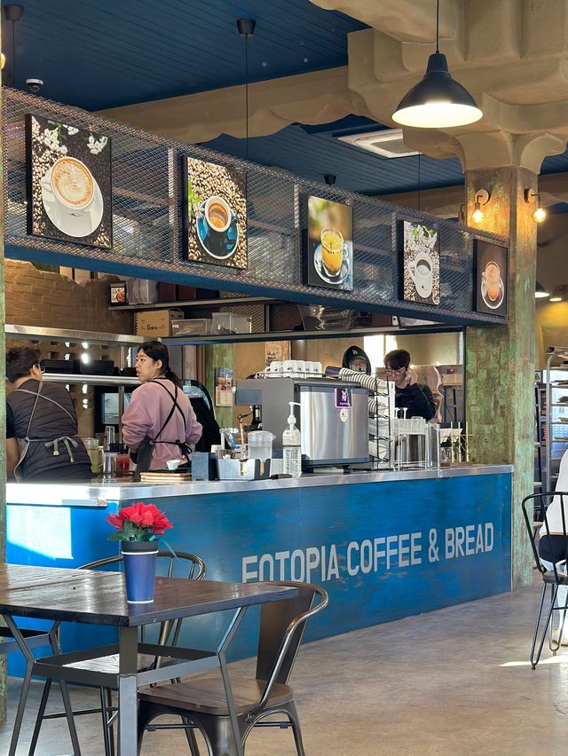 포토존이 가득한 포항 카페, 포토피아📸☕️