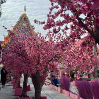 Nakhon Si Thammarat WAT YANG YAI