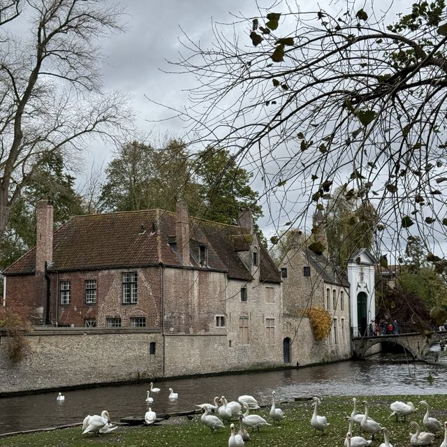 Bruges: Timeless Charm Along Canals