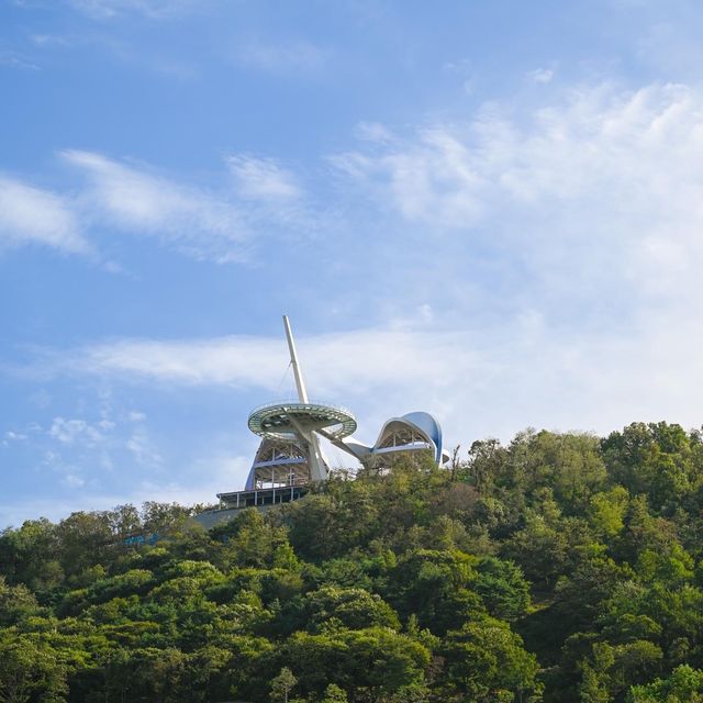 Hwagaesan Mountain Monorail (화개산 모노레일)