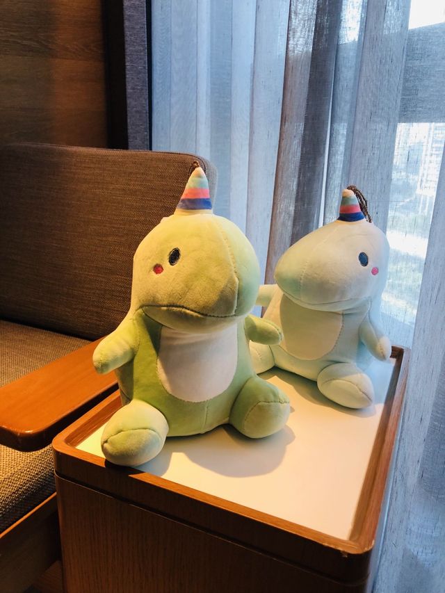 商場入面的酒店🏨日曬雨淋也不怕