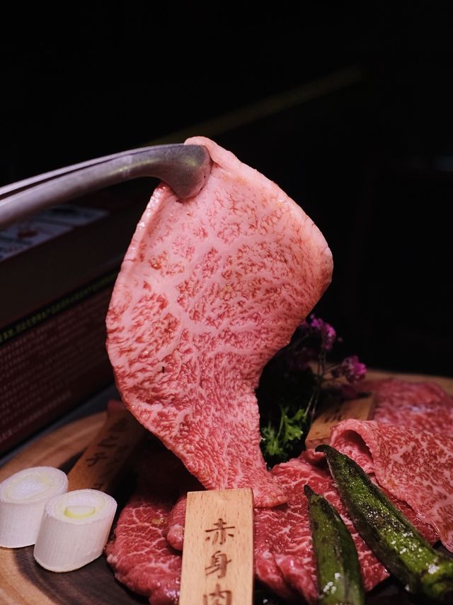 在銅鑼灣鬧市中的露營生活 #寵物友善 