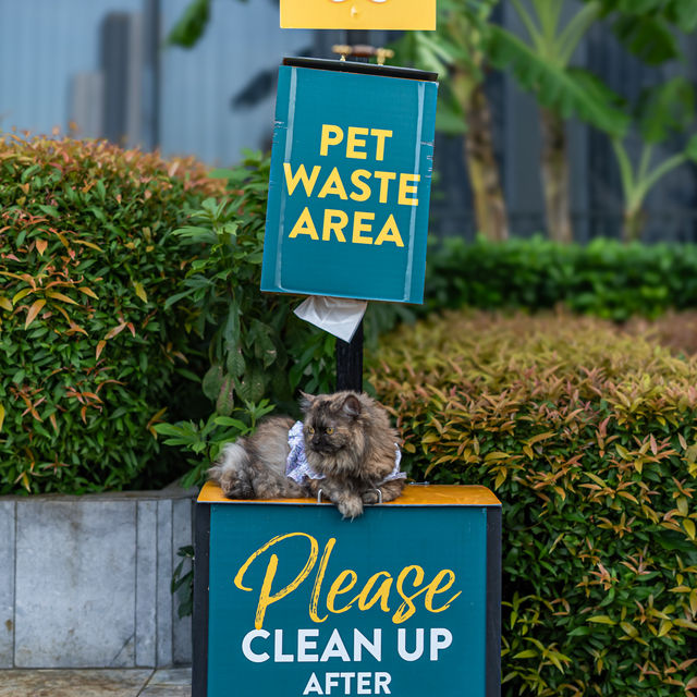 ที่พักใจกลางกทม. ทำเลเลิศ หมา/แมวพักได้ 🐱🐶