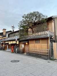 📍OMO5京都祇園 by 星野リゾート/京都