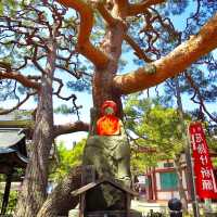 A must-visit temple in Nagano