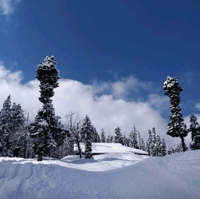 Khilanmarg Valley 