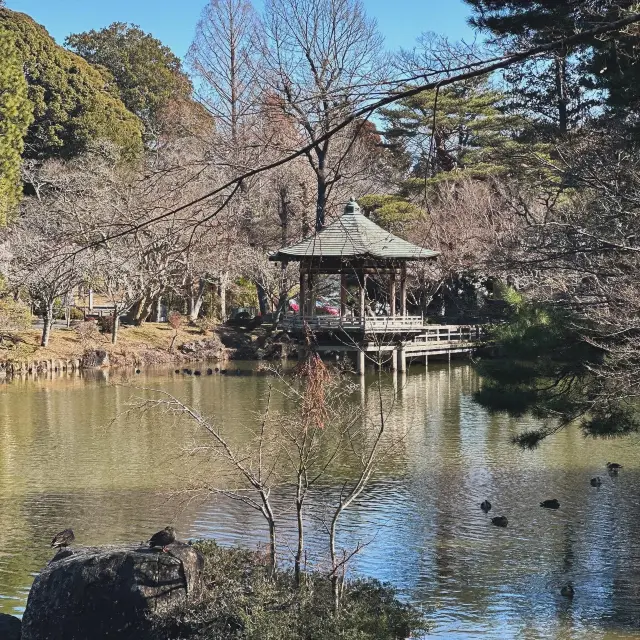 Short Trip @Narita nearby Airport 