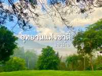 สายเที่ยวธรรมชาติต้องมา อุทยานแห่งชาติเขาค้อ