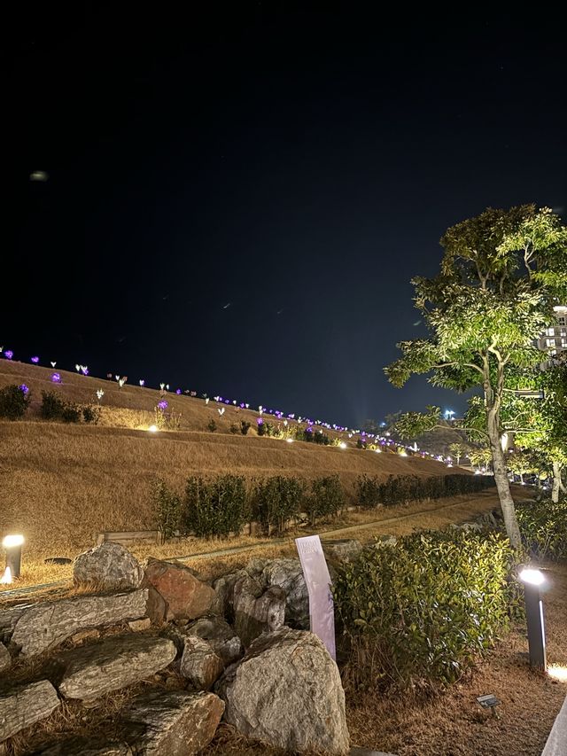 겨울에 산책하기좋은 신비의 진도 바닷길❤️