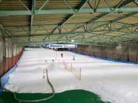 Sayama Indoor Skiing Ground