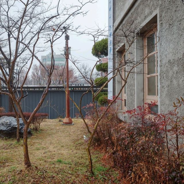 군산의 이야기로 채워지는 장미갤러리