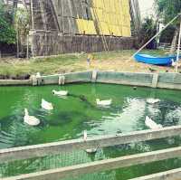 Moori Moori 🐮 Play Farm