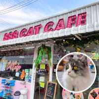 888 Cat Cafe ไปหาน้องแมวกัน 