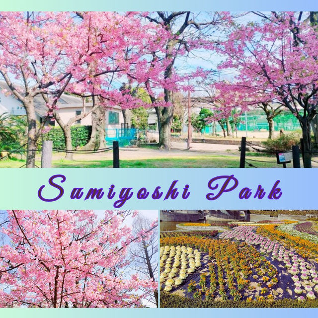 Charm of Japanese springtime, Sumiyoshi Park🌸