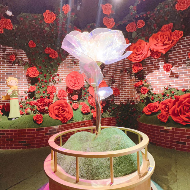 海洋公園「小王子星河探索」期間限定