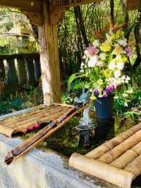 【今市瀧尾神社/栃木県】男体山へ二荒山大神を祀ると同時に祀られた神社