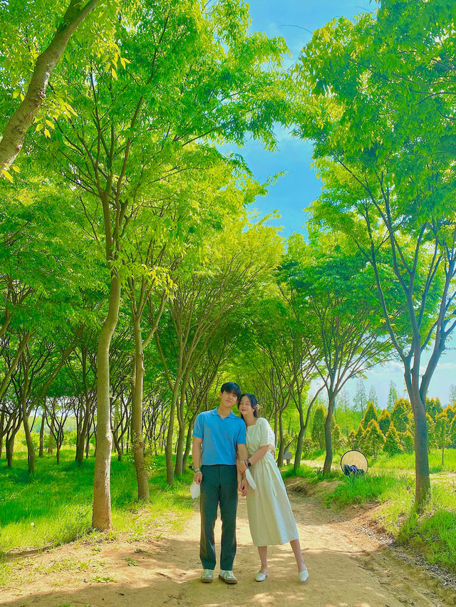 봄에 빠질 수 없는 청보리&겹벚꽃 명소 🌸