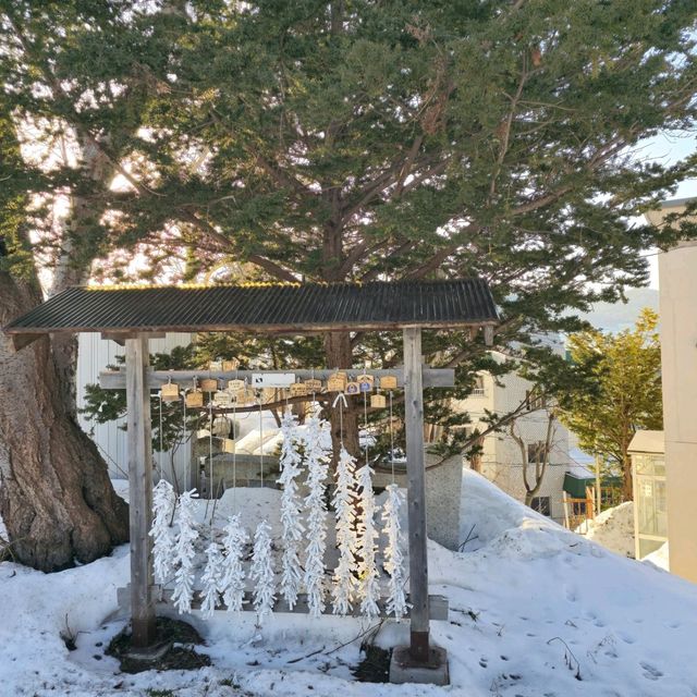 일본여행 오타루의 한적한 Suitengu Shrine 水天宮 신사