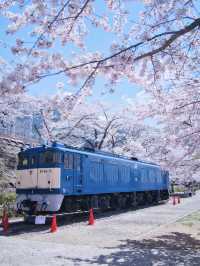 【山梨・桜】混雑回避はココ‼️レトロな雰囲気が出る桜咲くホーム跡🌸※マップ付き