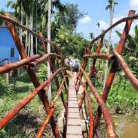 Embark on a Mekong Marvel Tour🛶