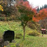 Yamakata