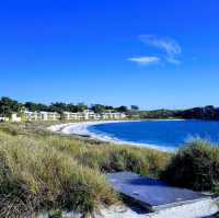 Rottnest Island: A Day in Paradise