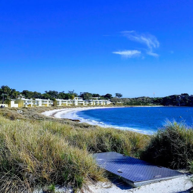 Rottnest Island: A Day in Paradise