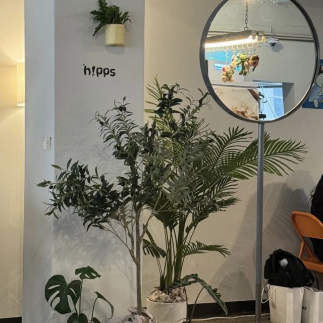 【韓国/大邱】公平洞カフェ☕️HIPPS!
