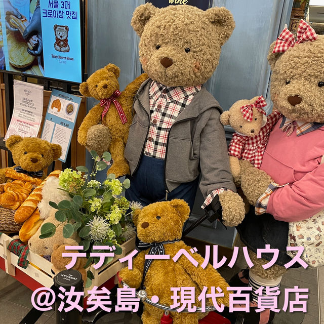 話題のテディーベルハウス🧸新店 ザヒュンダイソウル！