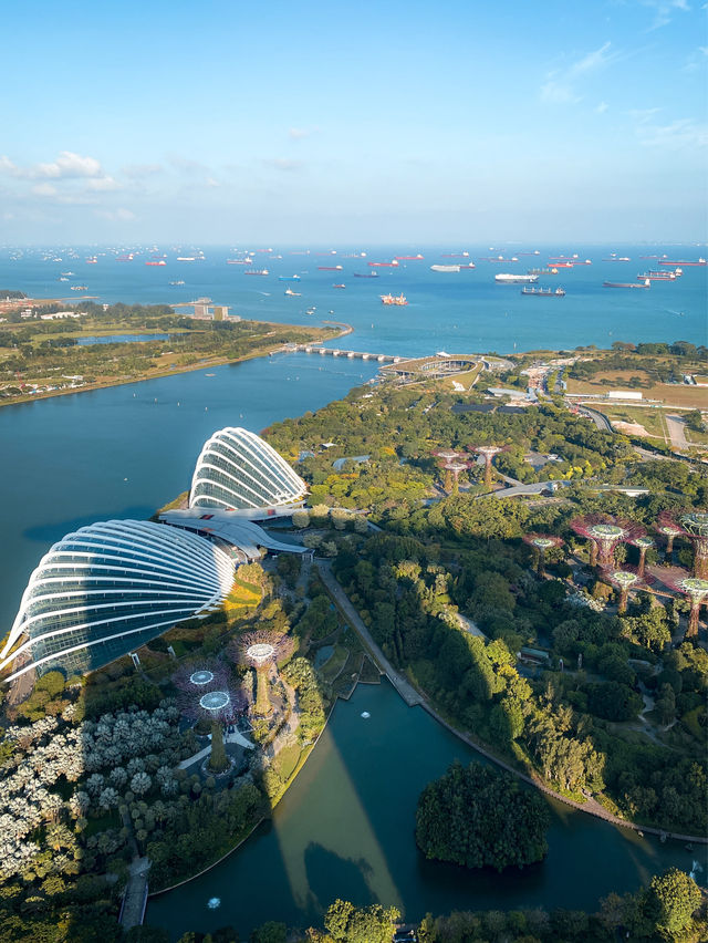 รีวิว MBS โรงแรมแลนด์มาร์คอันดับหนึ่งของสิงคโปร์