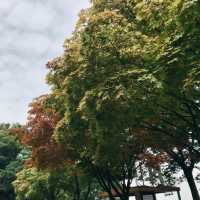 ดูวิวนัมซาน ทาวเวอร์ (N Seoul Tower)