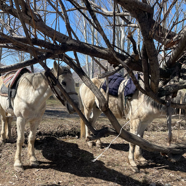 Lovely horse ride in chon lemon National park