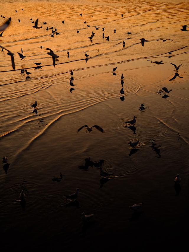 สถานตากอากาศบางปู 🐦🌤️