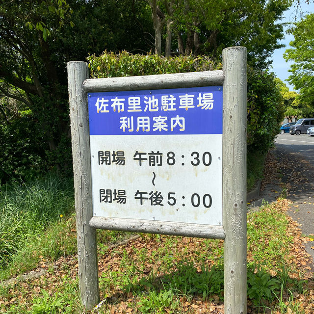 「佐布里緑と花のふれあい公園」で季節の花巡り