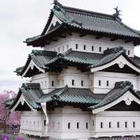 日本青森弘前公園櫻花