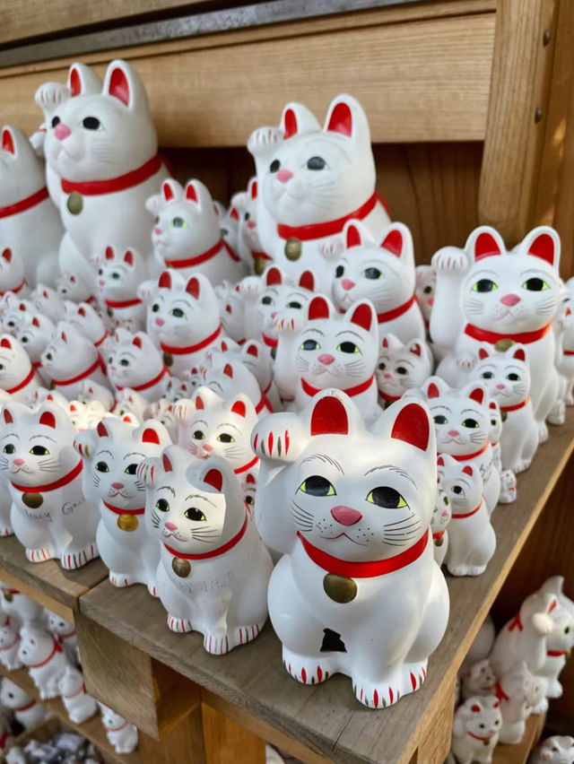 東京的秘密花園：豪德寺與千貓的祝福