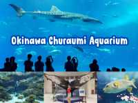 🌊ท่องโลกใต้ทะเลที่ Okinawa Churaumi Aquarium