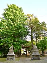 【松が丘北野神社/東京都】太田道灌が戦勝祈願した松が丘の神社