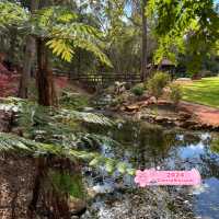 Garden of Dreams: Exploring Araluen's Tranquil Oasis